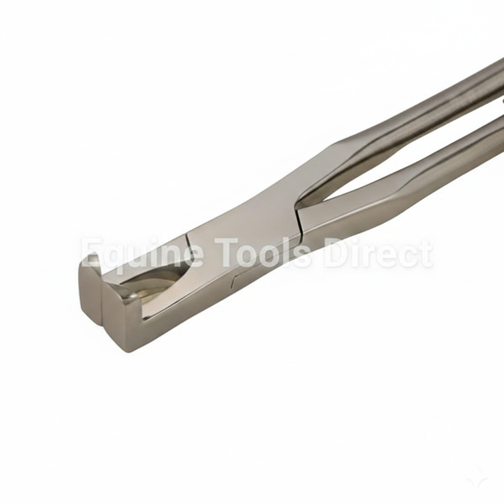 6mm standard spreader for horses by Equine Tools Direct used in professional equine dental procedures