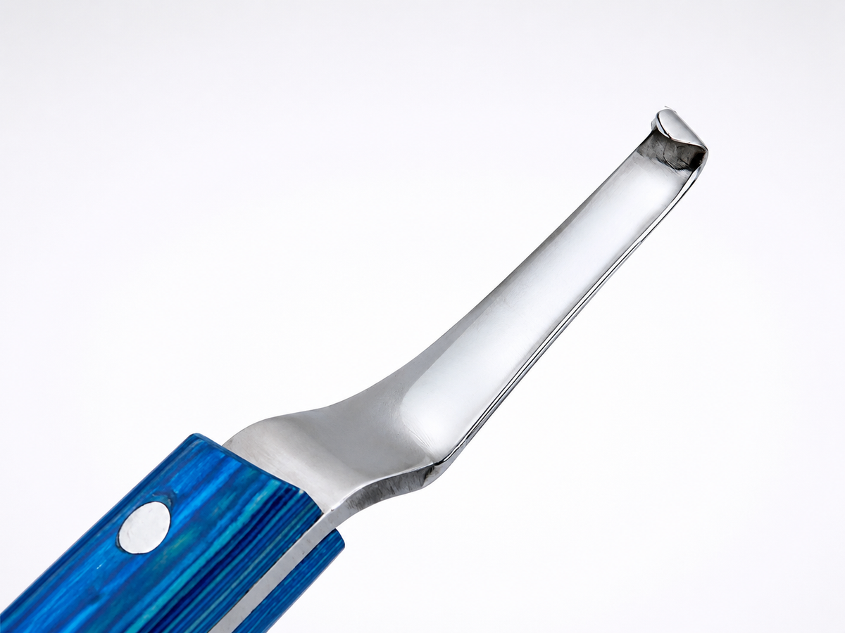 Close-up of sharp curved stainless steel blade edge on
Equine Tools Direct professional hoof knife