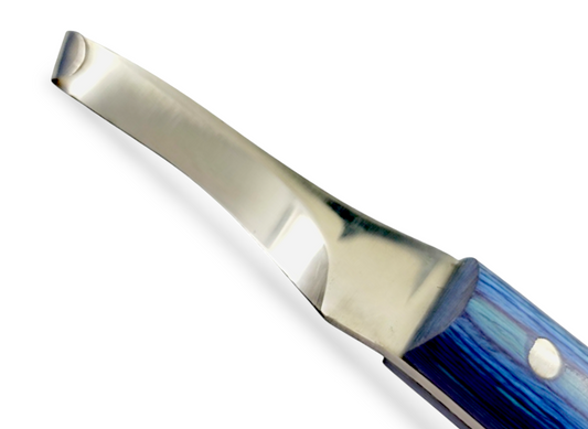 Close-up of J2 420 stainless steel curved blade hoof knife for right-handed farriers