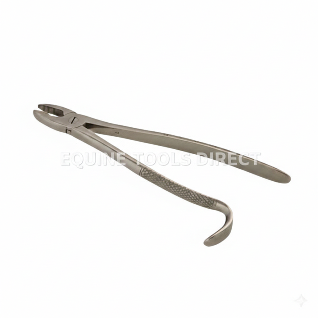 11 inch Ergonomic Forceps by Equine Tools Direct – precision grip stainless steel surgical instrument for professional equine use