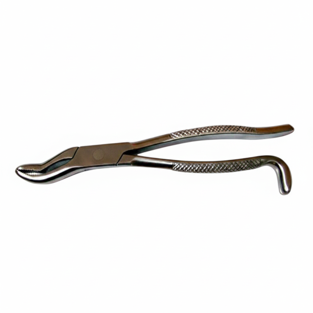 11 inch Incisor Forceps by Equine Tools Direct for professional equine and veterinary dental extraction procedures