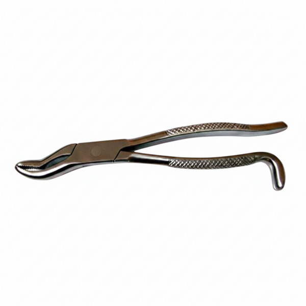 Incisor Forceps – 11” | Professional Equine & Veterinary Dental Extraction Instrument | Equine Tools Direct