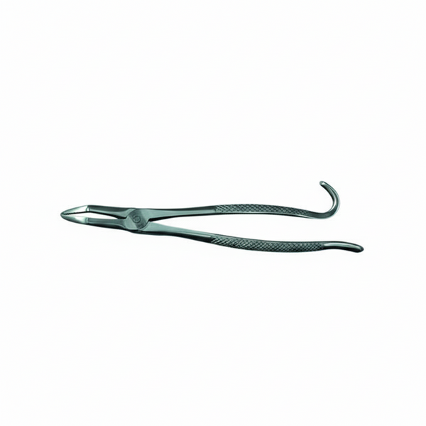 12” Extraction / Utility Forceps – Round Joint, Good Grip | Professional Equine Dental Instrument | Equine Tools Direct