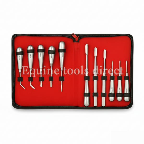 12-Piece Equine Dental Elevator Set – Premium Veterinary Instruments | Equine Tools Direct