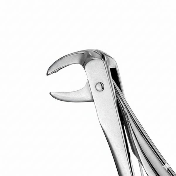 New Extraction Forceps – 18”–19” | Heavy-Duty Professional Equine Dental Forceps | Equine Tools Direct