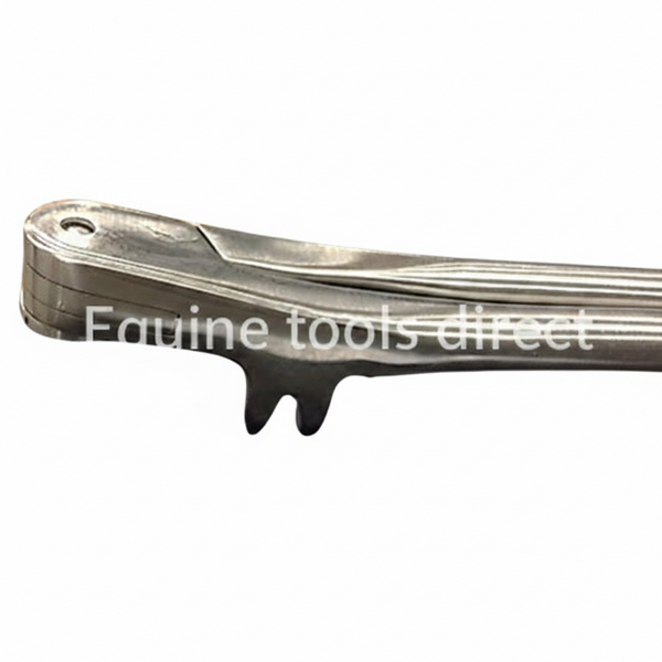 4-Prong Maxillary Forceps – Curved 19” | Professional Equine Dental Extraction Instrument | Equine Tools Direct