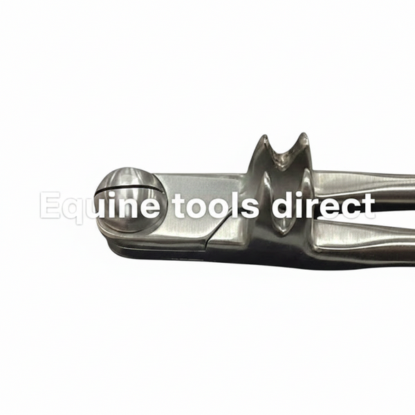 4-Prong Mandibular Forceps – Straight 19” | Professional Equine Dental Extraction Instrument | Equine Tools Direct