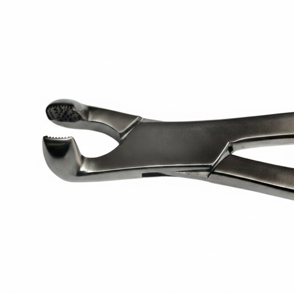 19 inch Concave Long Jaw Box Joint Forceps by Equine Tools Direct for professional equine dental extraction