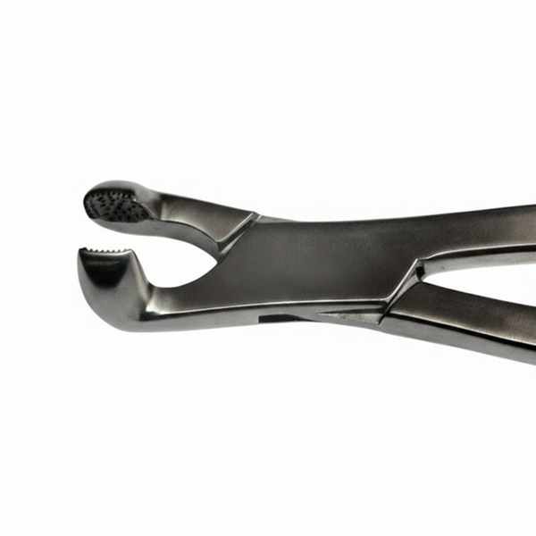 Concave Long Jaw Box Joint Forceps – 19” | Professional Equine Dental Extraction Instrument | Equine Tools Direct