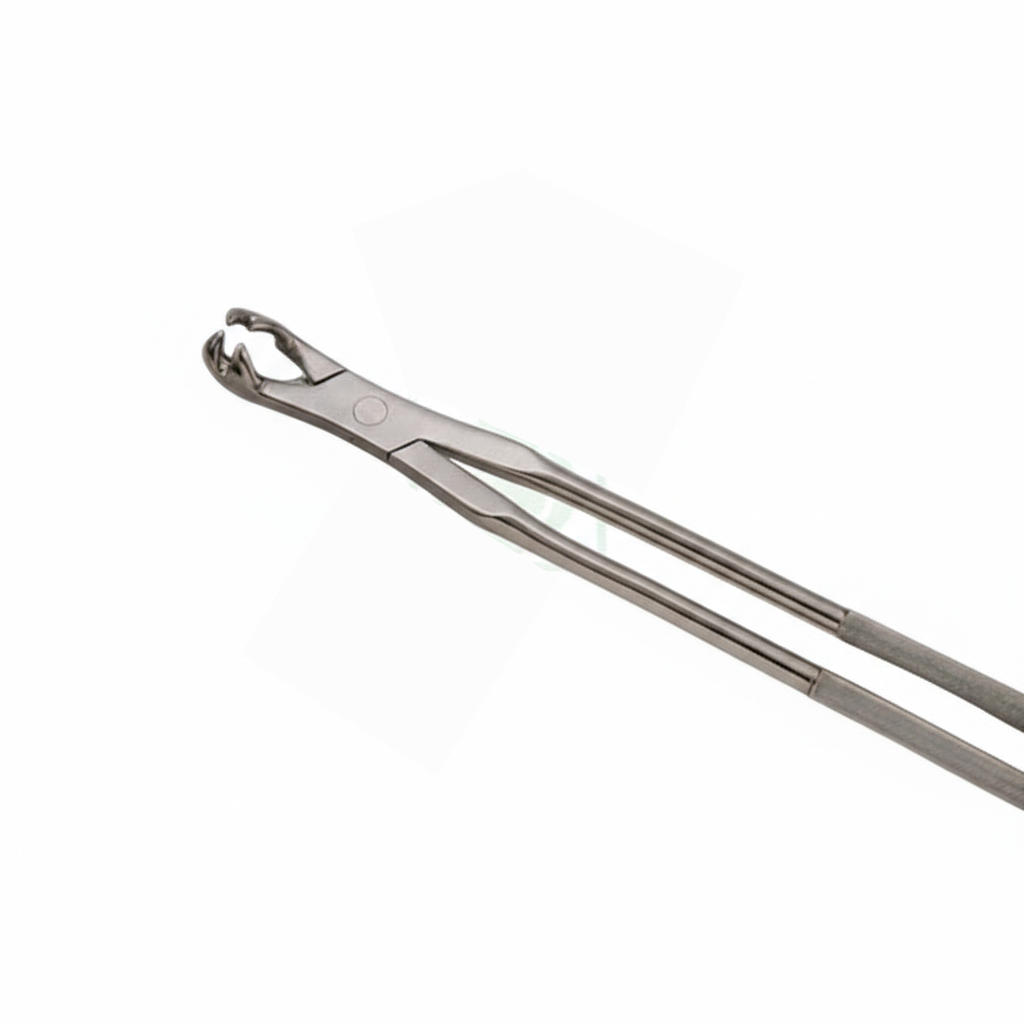 19 inch Four Root Forceps with regular handle by Equine Tools Direct for professional equine dental extraction