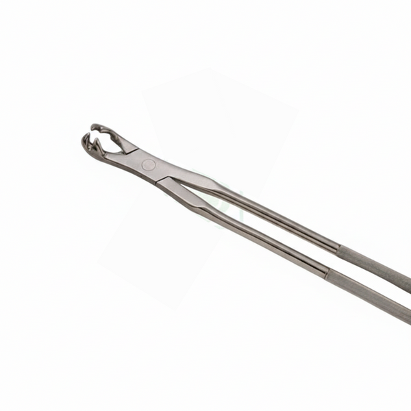 Four Root Forceps – Regular Handle, 19” | Professional Equine Dental Extraction Instrument | Equine Tools Direct