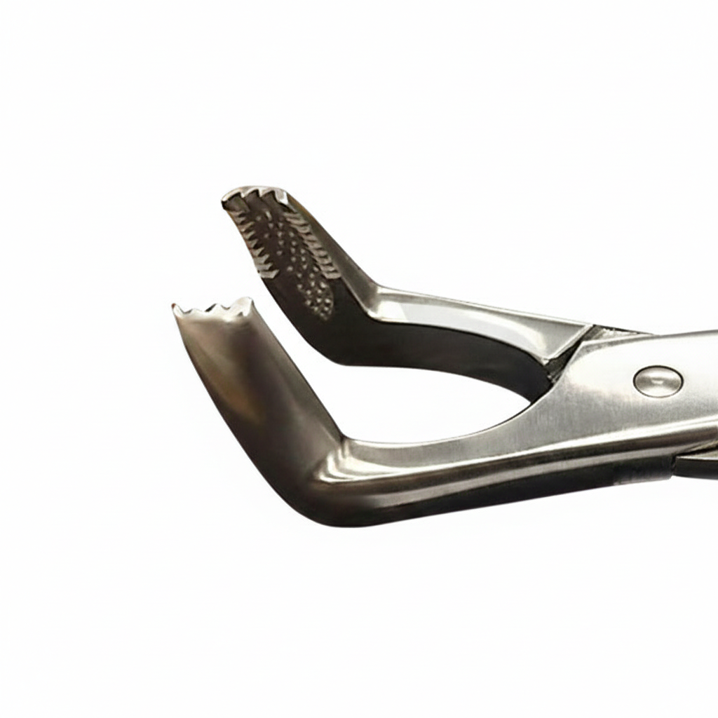 19 inch Fragment Forceps with box joint by Equine Tools Direct for professional equine dental root and tooth extraction