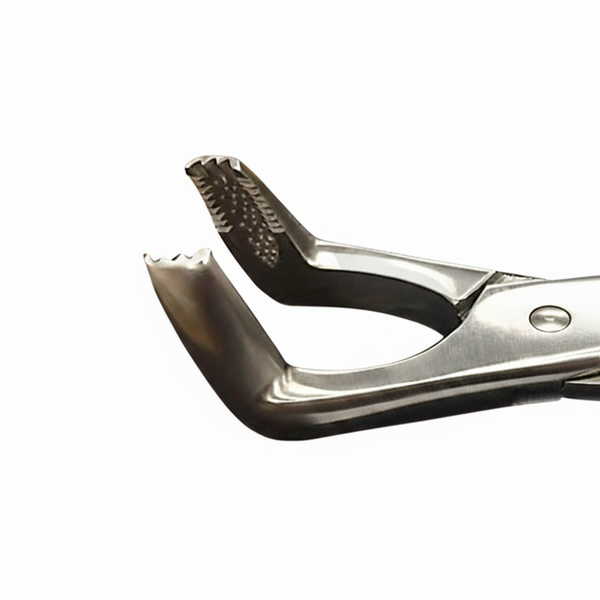 Fragment Forceps – 19” Box Joint | Professional Equine Dental Instrument for Root & Tooth | Equine Tools Direct