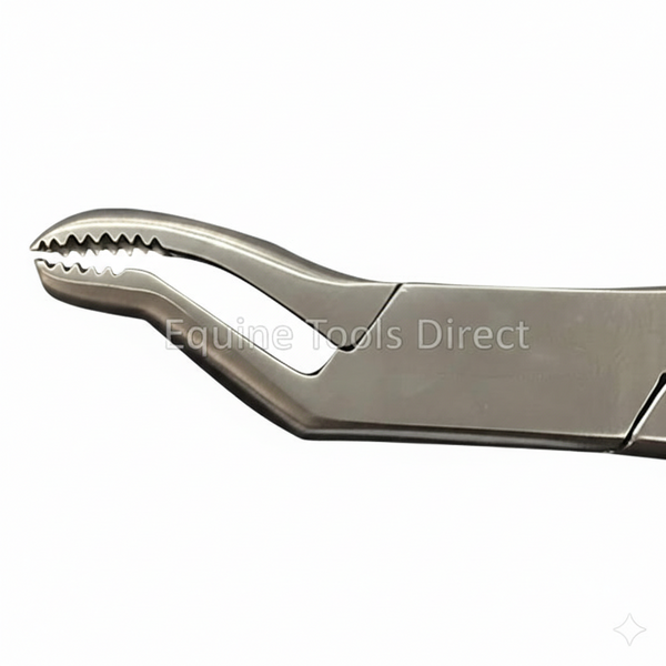 Incisor Fragment Forceps – 19” Simple Joint | Professional Equine Dental Extraction Instrument | Equine Tools Direct