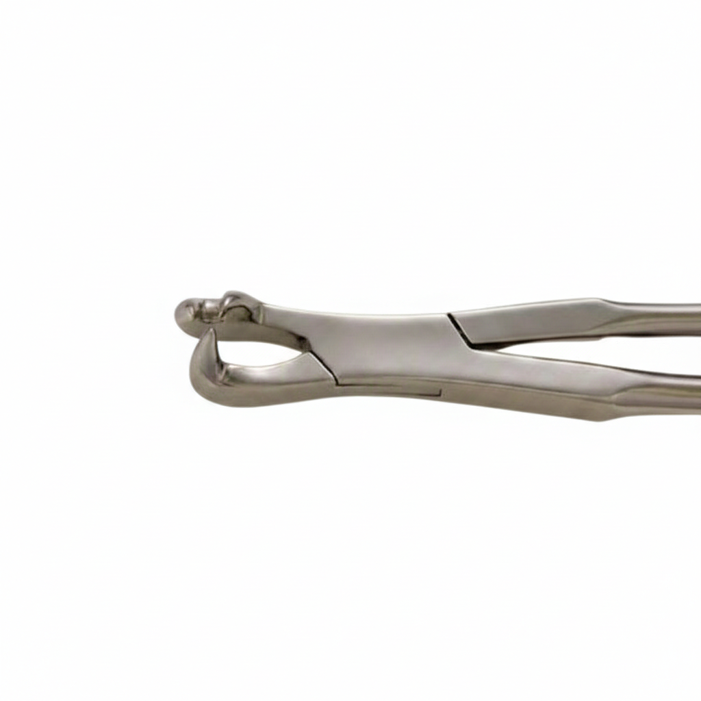 19 inch three root forceps – Off Side design by Equine Tools Direct for professional equine dental extraction procedures
