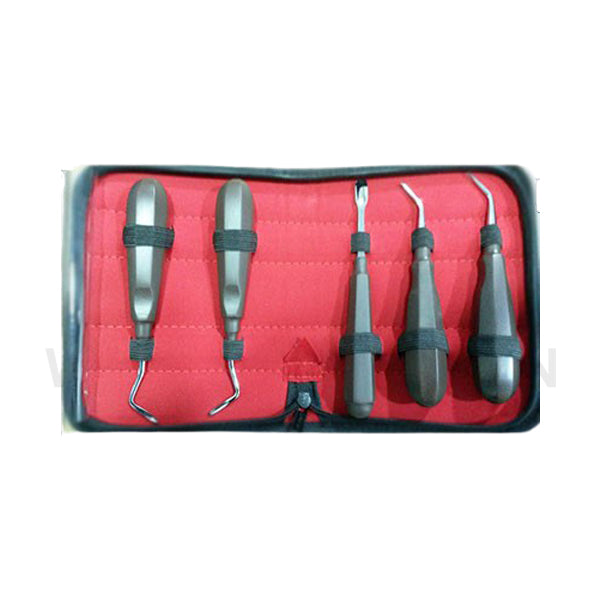 5-Piece Equine Dental Elevators Set – Professional Veterinary Extraction Instruments | Equine Tools Direct