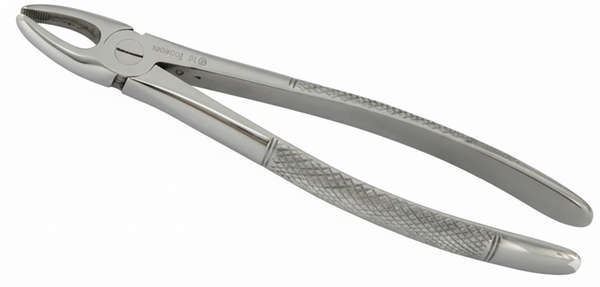 Extraction Forceps – 7” | High-Quality Dental Instrument for Precision Tooth Removal | Equine Tools Direct