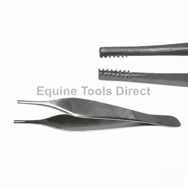 Brown-Adson Tissue Forceps 12” – Premium Surgical Precision Forceps for Tissue Handling | Equine Tools Direct