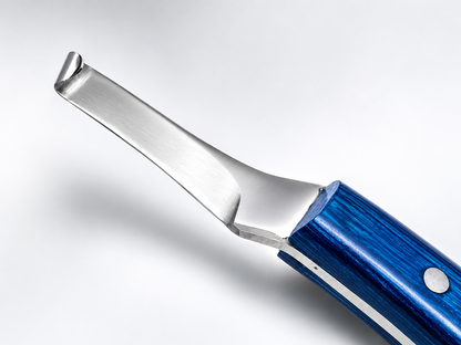 Close-up of precision curved blade tip on right-hand hoof knife 
– J2 420 magnetic stainless steel
