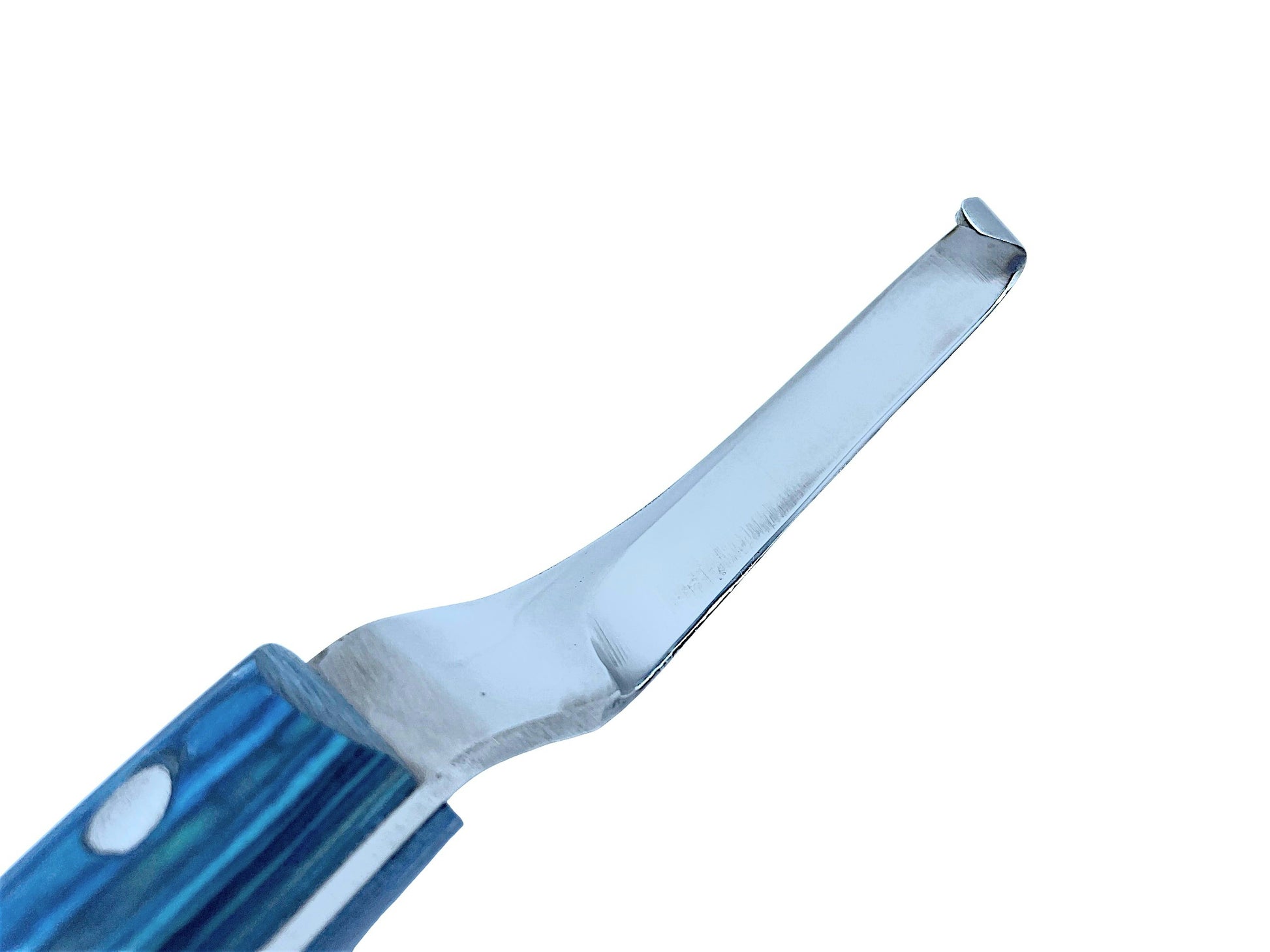 Close-up of sharp curved stainless steel blade edge on 
Equine Tools Direct professional hoof knife