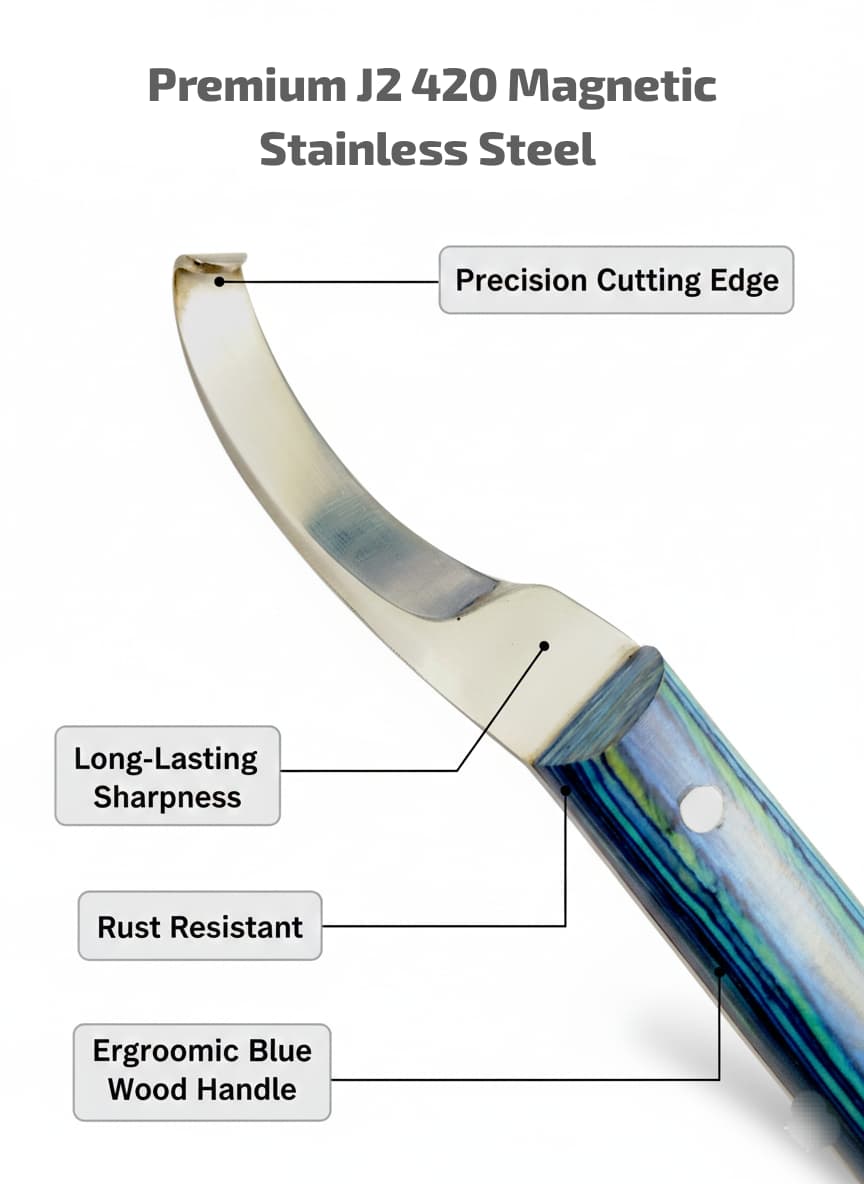 Detailed cutting edge of Left-hand curved hoof knife