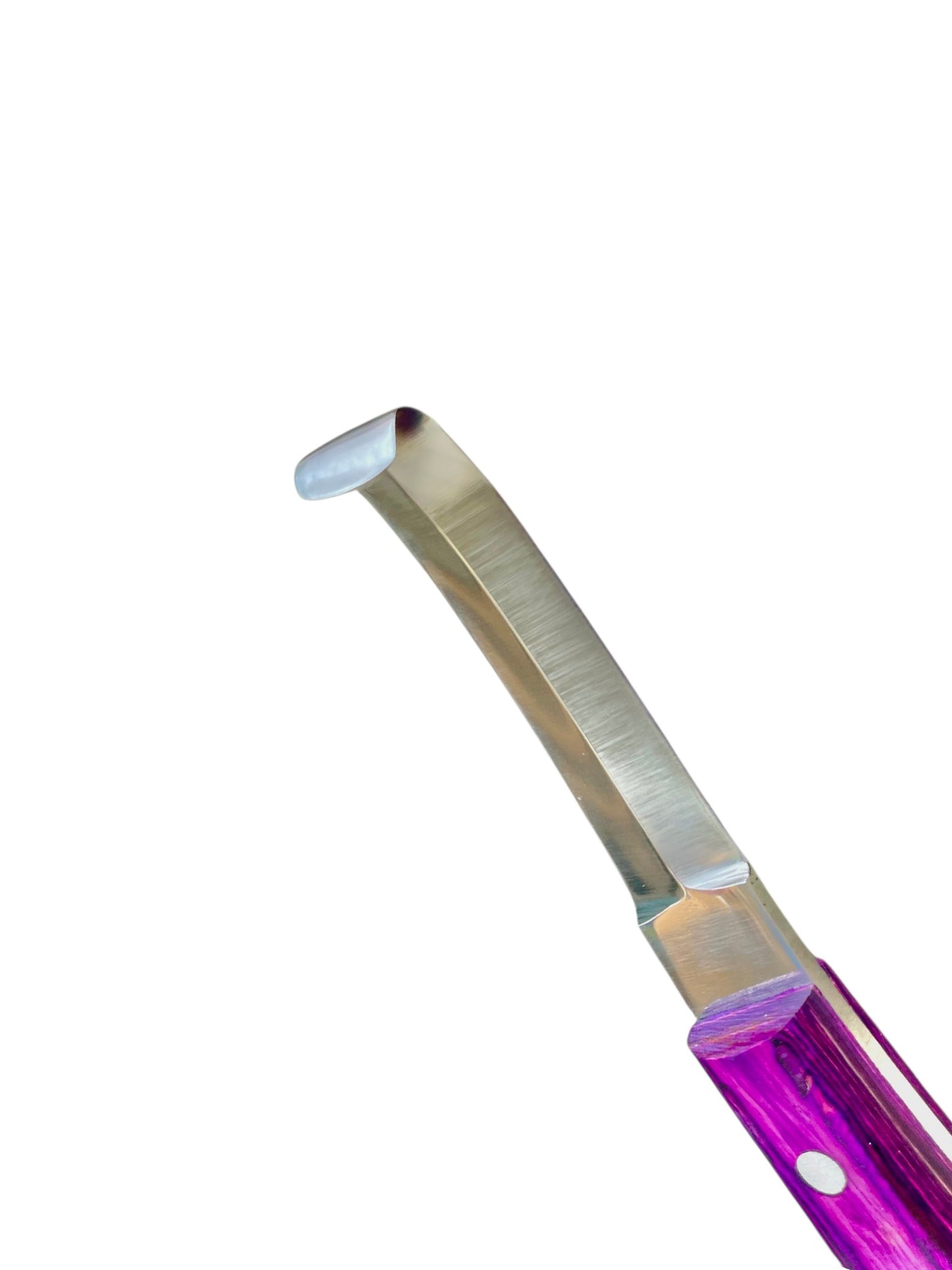 Close-up of precision hook blade tip on double-edge hoof 
knife – J2 420 magnetic stainless steel