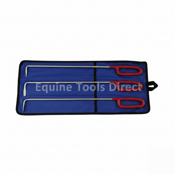 Equine Dental Picks with Plastic Handles – Easy Grip Professional Cleaning Instruments | Equine Tools Direct