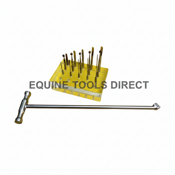 Extension Equine Dental Picks Set – Premium Veterinary Cleaning Instruments | Equine Tools Direct