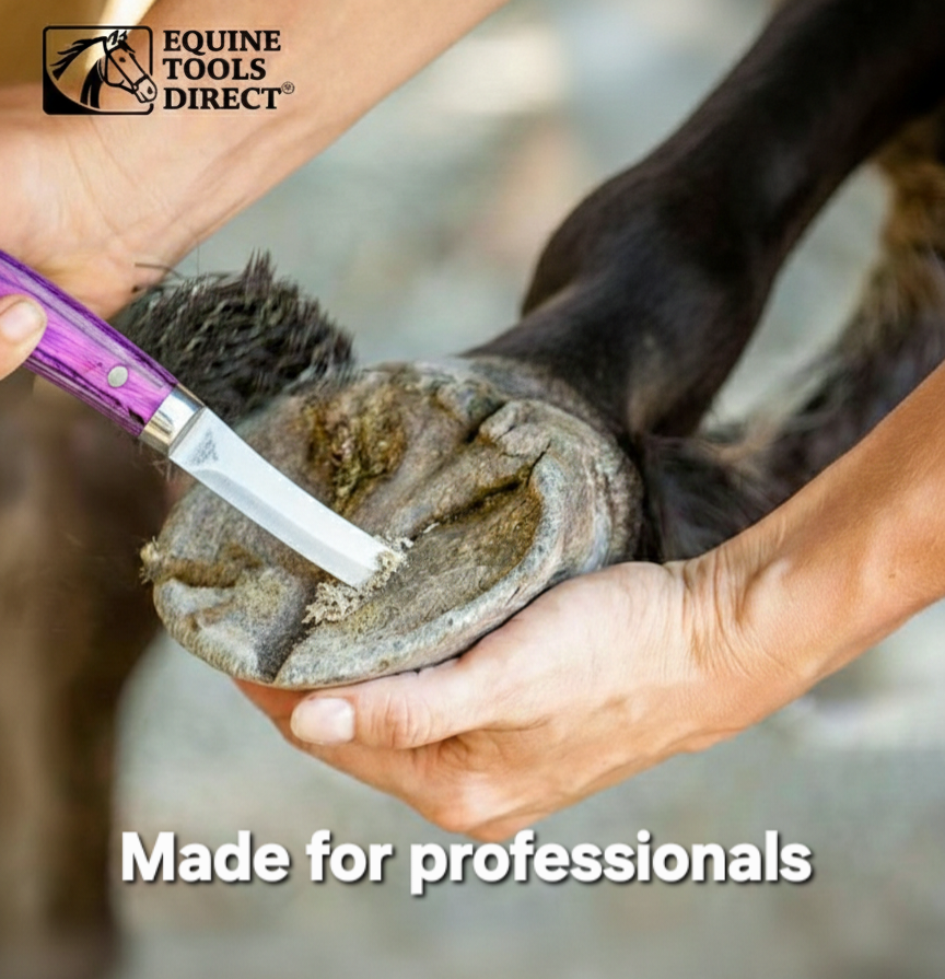Farrier trimming horse hoof using double-edge right-hand hoof knife