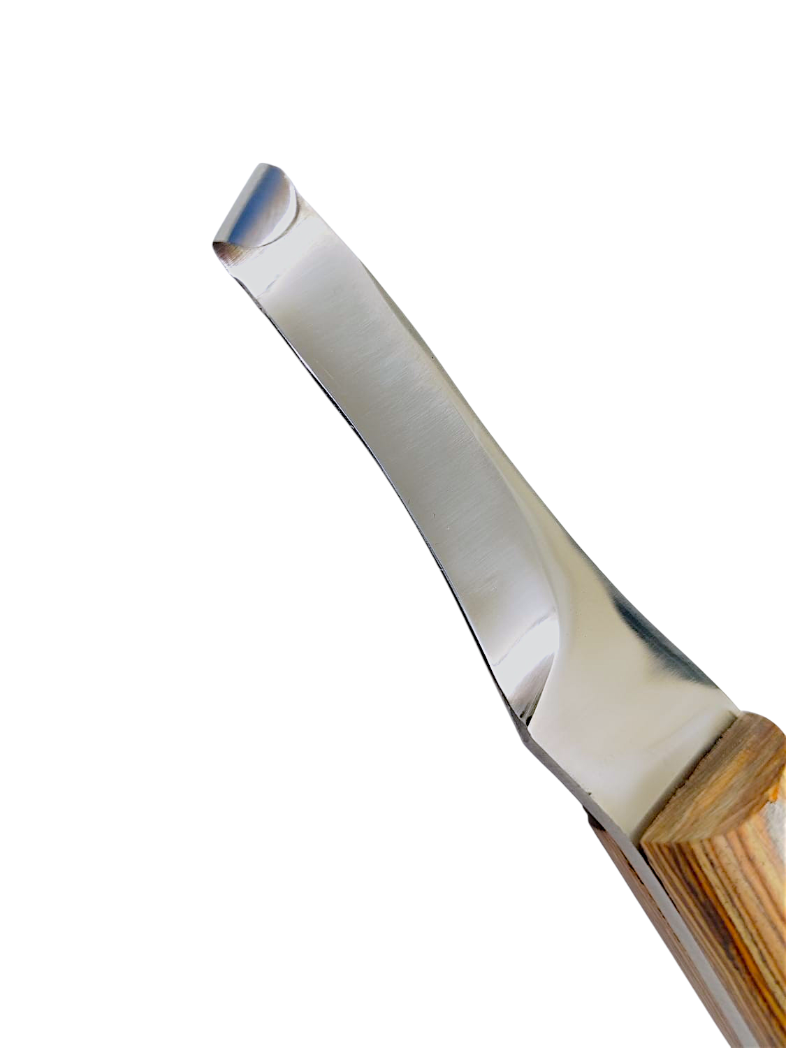 Close-up of J2 stainless steel curved blade hoof knife