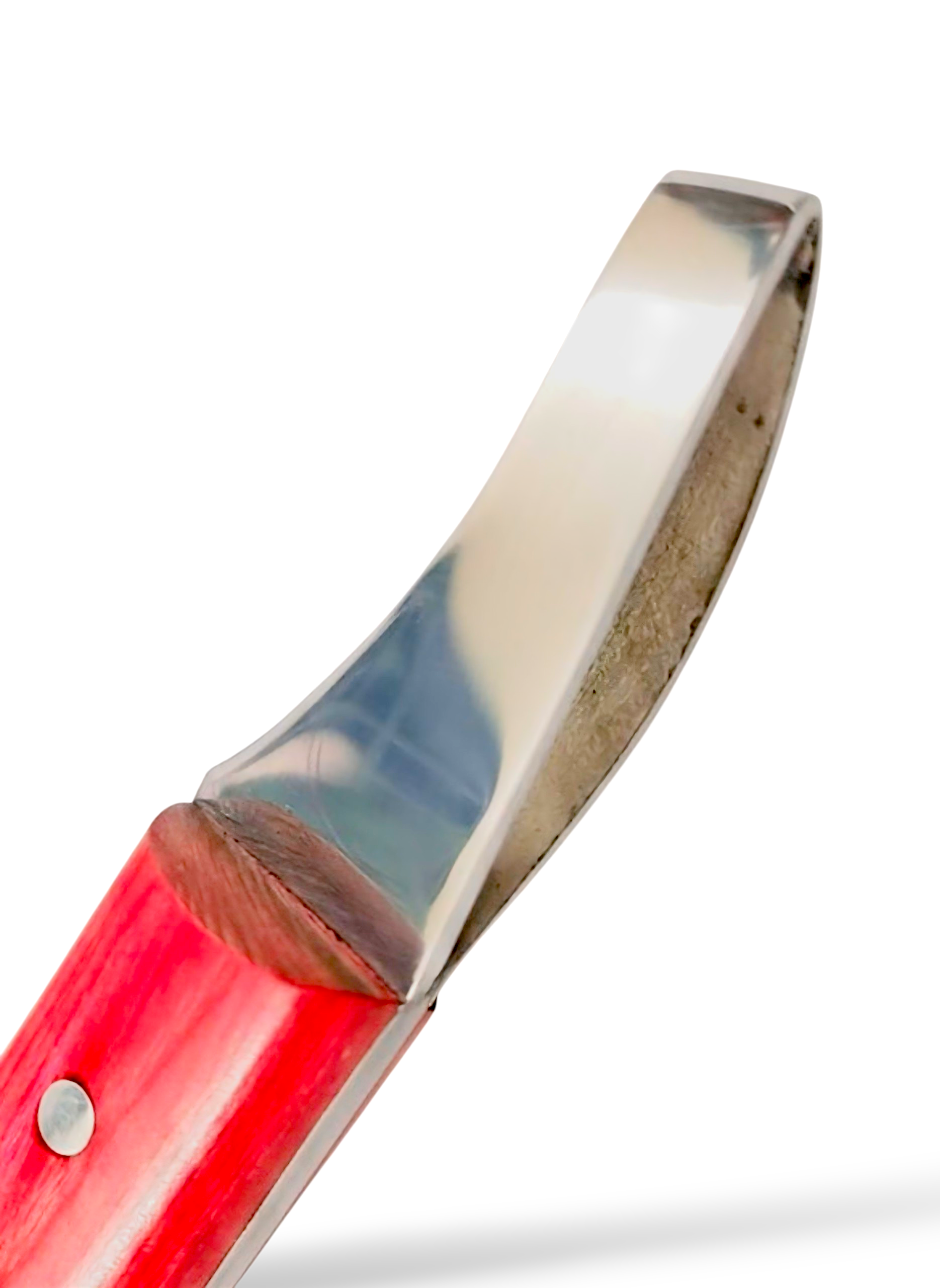 Close-up of J2 stainless steel loop blade hoof knife for precise trimming
