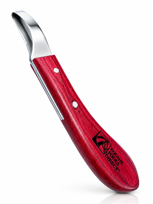 Angled full view of professional loop hoof knife – J2 420 stainless steel C-shaped blade and red stained wood 
handle