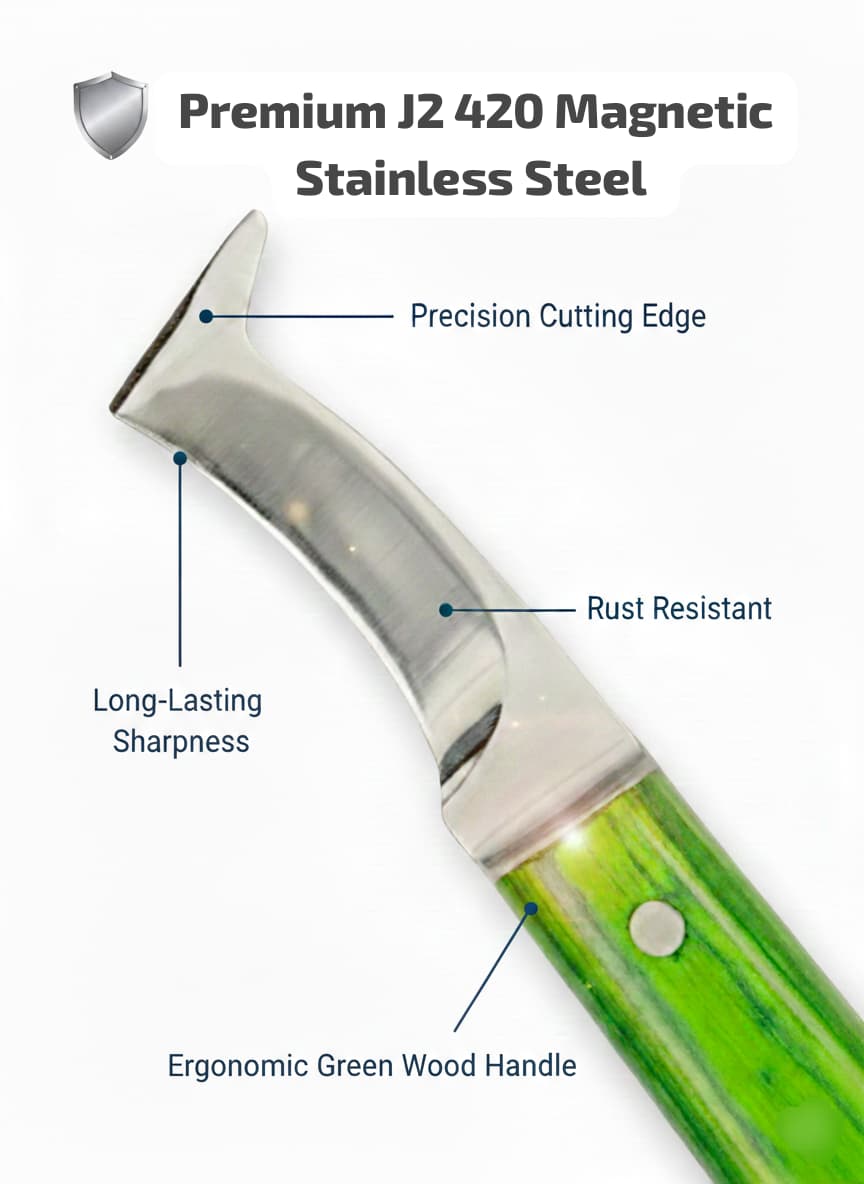 Detailed view of rhino hook tip on professional straight hoof knife