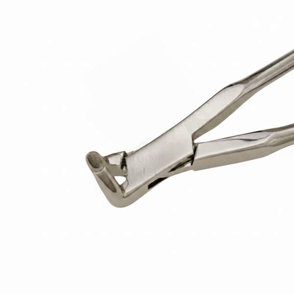 Short Jaw Root Fragment Box Joint Forceps – Professional Equine Dental Extraction Tool | Equine Tools Direct