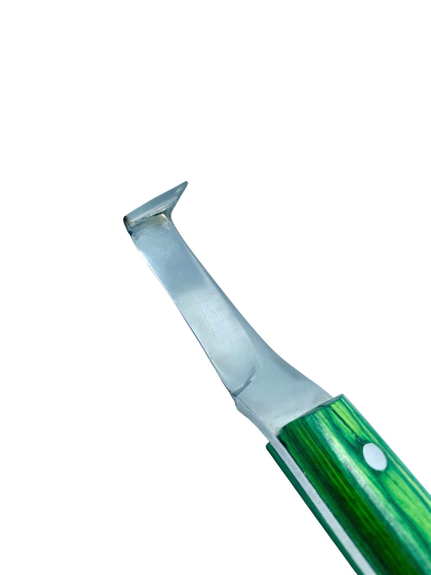 Close-up of precision rhino hook blade tip on straight hoof 
knife – J2 420 magnetic stainless steel