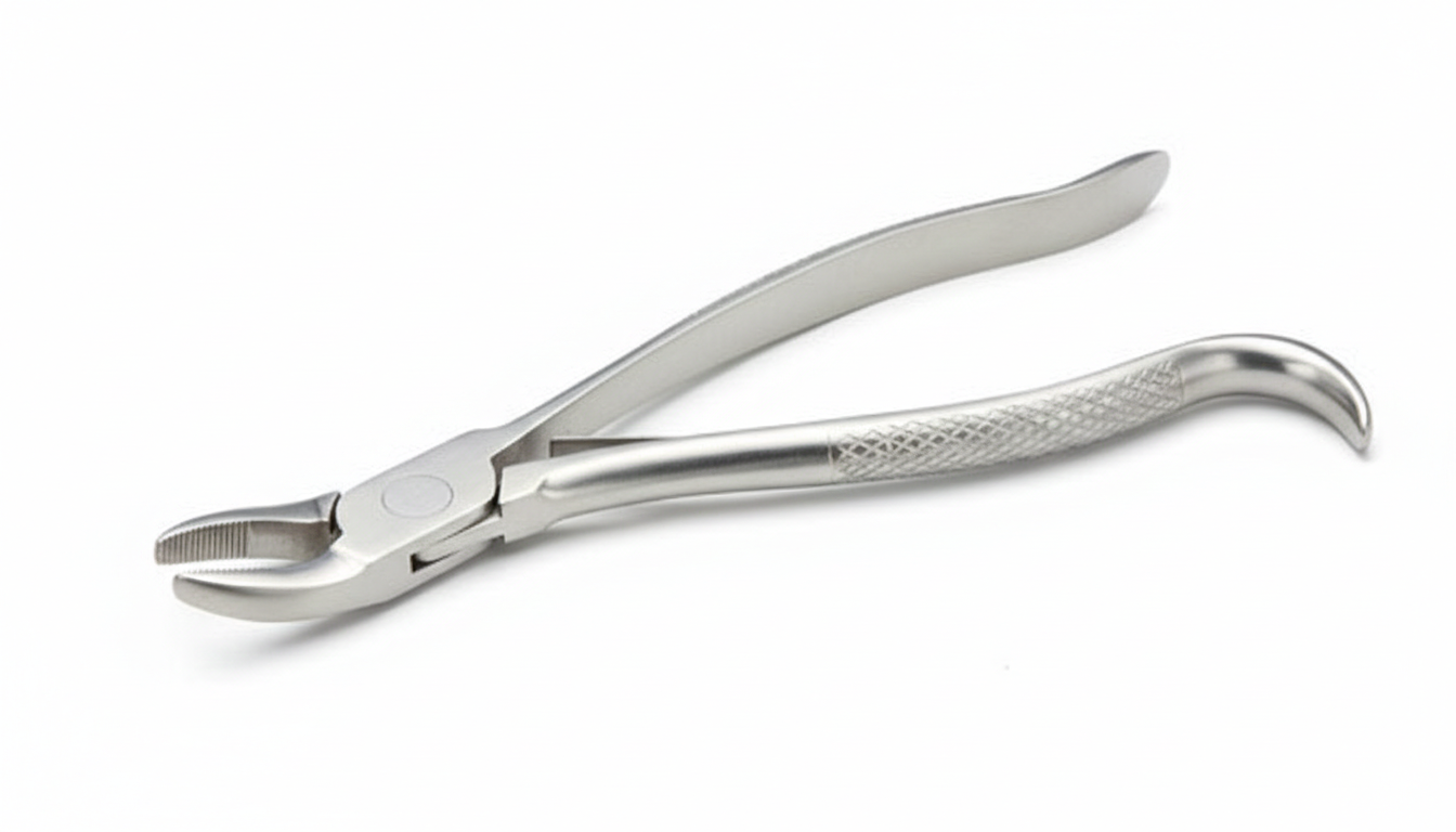10 inch Wolf Tooth Forceps by Equine Tools Direct – precision equine dental extraction instrument for veterinary use