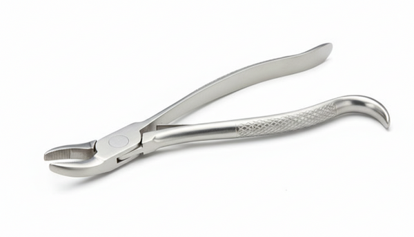 Wolf Tooth Forceps – 10” Precision Equine Dental Extraction Instrument | Equine Tools Direct