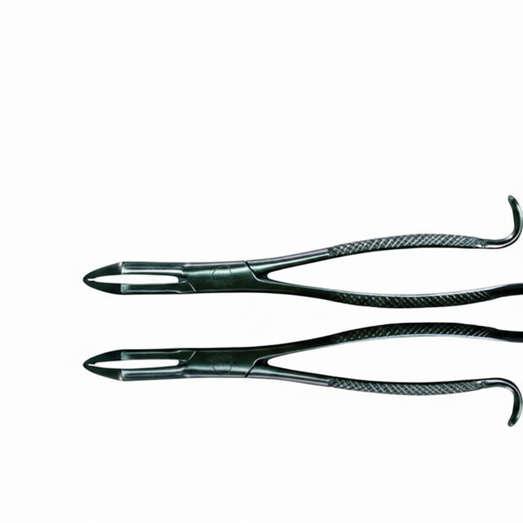 12 inch Wolf Tooth Forceps box joint by Equine Tools Direct – heavy-duty equine dental extraction instrument