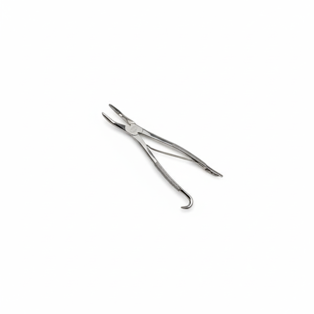 Wolf Tooth Forceps with spring 30cm 12 inch by Equine Tools Direct – equine dental extraction instrument